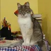 Отзыв от Инна Дубровина